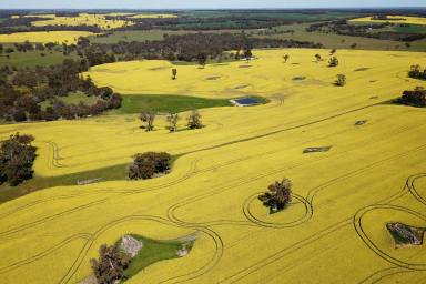 Farm For Sale - WA - Frankland River - 6396 - Millstone Hill  (Image 2)