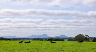 Farm For Sale - VIC - Strathkellar - 3301 - High Calibre Property  (Image 2)