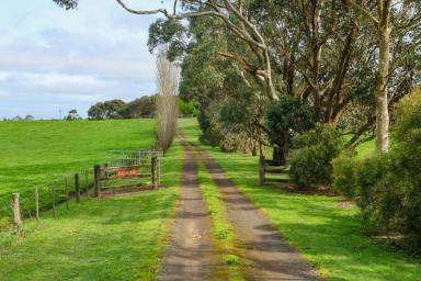 Farm For Sale - VIC - Strathkellar - 3301 - High Calibre Property  (Image 2)