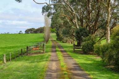 Farm For Sale - VIC - Strathkellar - 3301 - For Sale - As a Whole or in 2 Lots  (Image 2)