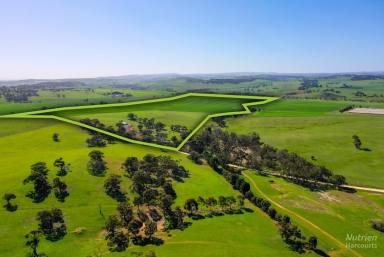 Farm Auction - SA - Rhynie - 5412 - Prime Rural Land  (Image 2)