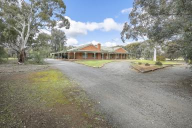 Farm For Sale - VIC - Swan Hill - 3585 - Stunning Rural Retreat  (Image 2)