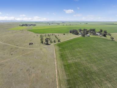 Farm For Sale - SA - Jamestown - 5491 - Cocanowie  (Image 2)