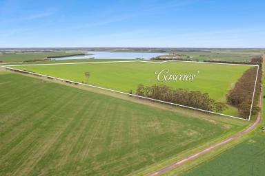 Farm For Sale - VIC - Kariah - 3260 - 'Cascaes'  (Image 2)