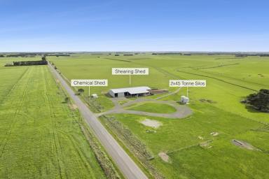 Farm For Sale - VIC - Warrong - 3283 - 'Warrong'  (Image 2)