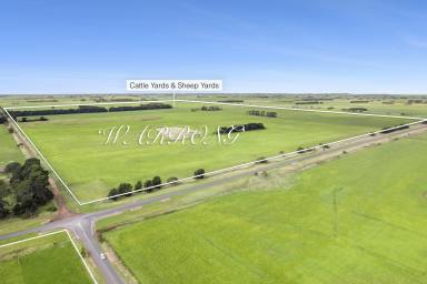 Farm For Sale - VIC - Warrong - 3283 - 'Warrong'  (Image 2)