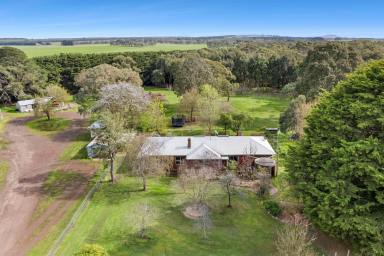 Farm For Sale - VIC - Macarthur - 3286 - 'Elwood'  (Image 2)