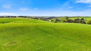 Farm For Sale - SA - Woodchester - 5255 - 'The Mine Paddock' - an idyllic 89-acre solution to your rural or residential grand plans.  (Image 2)