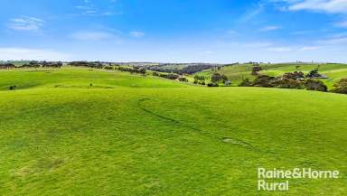 Farm Sold - SA - Woodchester - 5255 - 'The Mine Paddock' - an idyllic 89-acre solution to your rural or residential grand plans.  (Image 2)