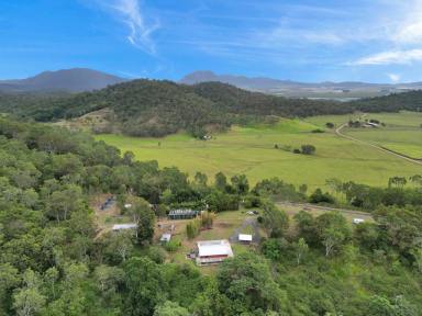 Farm For Sale - QLD - Habana - 4740 - COMMITTED NEW PROJECT/FORCED SALE  (Image 2)