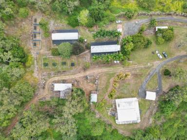 Farm For Sale - QLD - Habana - 4740 - COMMITTED NEW PROJECT/FORCED SALE  (Image 2)