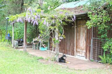 Farm For Sale - QLD - Conondale - 4552 - 40 ACRES OF PEACE, A CHARACTER COTTAGE AND SEPARATE STUDIO  (Image 2)