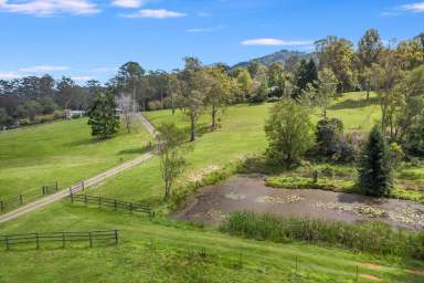 Farm For Sale - QLD - Conondale - 4552 - 40 ACRES OF PEACE, A CHARACTER COTTAGE AND SEPARATE STUDIO  (Image 2)