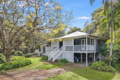 Farm For Sale - QLD - Conondale - 4552 - 40 ACRES OF PEACE, A CHARACTER COTTAGE AND SEPARATE STUDIO  (Image 2)