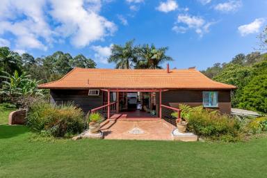 Farm For Sale - QLD - Conondale - 4552 - CHARMING ECO VILLAGE HOME WITH TWO SEPARATE CABINS  (Image 2)