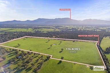 Farm For Sale - VIC - Moyston - 3377 - Stunning 116 Acre Lifestyle property - Grampians Views  (Image 2)