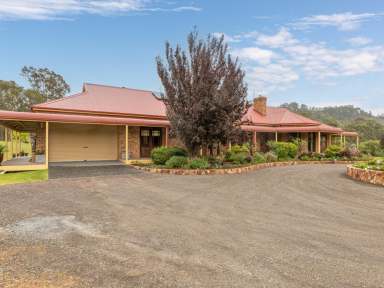 Farm For Sale - NSW - Candelo - 2550 - YOU WON'T FIND BETTER!  (Image 2)