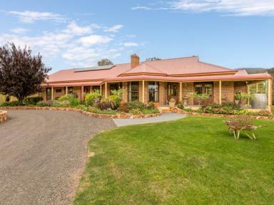 Farm For Sale - NSW - Candelo - 2550 - YOU WON'T FIND BETTER!  (Image 2)