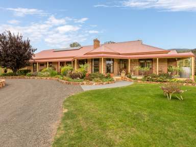 Farm For Sale - NSW - Candelo - 2550 - YOU WON'T FIND BETTER!  (Image 2)