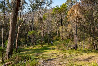 Farm For Sale - NSW - Goulburn - 2580 - Untouched Natural Getaway  (Image 2)