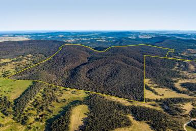 Farm For Sale - NSW - Goulburn - 2580 - Untouched Natural Getaway  (Image 2)