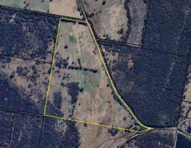 Farm For Sale - NSW - Bombala - 2632 - "Roadview"  (Image 2)