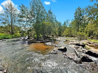 Farm For Sale - QLD - Mareeba - 4880 - A DREAM CANVAS AWAITS  (Image 2)