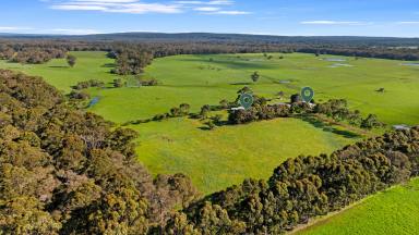 Farm For Sale - WA - Forest Grove - 6286 - Good country, great location in lifestyle Margaret River   (Image 2)