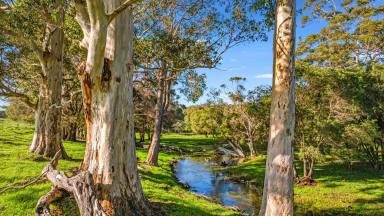 Farm For Sale - WA - Forest Grove - 6286 - Good country, great location in lifestyle Margaret River   (Image 2)