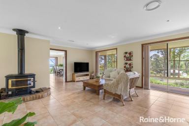 Farm For Sale - NSW - Ulladulla - 2539 - Lifestyle Acres - Your Coastal Sanctuary  (Image 2)