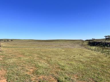 Farm For Sale - SA - Sunnybrae - 5422 - Opportunistic Mixed Farming Enterprise  (Image 2)