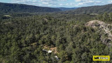 Farm For Sale - NSW - Nymboida - 2460 - TRANQUIL RETREAT WITH MULTIPLE BUILDINGS & SHEDS  (Image 2)