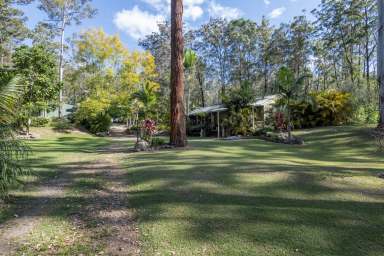 Farm For Sale - NSW - Nymboida - 2460 - VENDORS MOTIVATION HAS INCREASED - OFFERS SOUGHT  (Image 2)