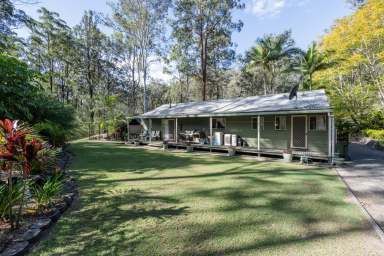 Farm For Sale - NSW - Nymboida - 2460 - VENDORS MOTIVATION HAS INCREASED - OFFERS SOUGHT  (Image 2)