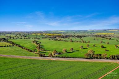 Farm Auction - SA - Riverton - 5412 - Outstanding, Once in a Generation Opportunity  (Image 2)