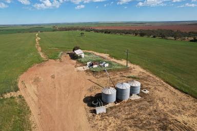 Farm For Sale - WA - Mullewa - 6630 - Tenindewa, Mullewa - good stand alone property with high yielding capacity  (Image 2)