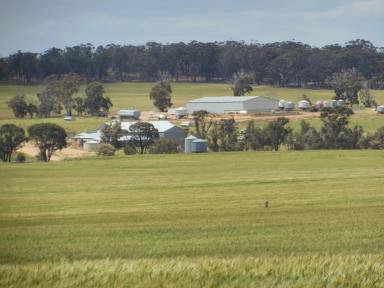 Farm For Sale - WA - Broomehill - 6318 - Sorrento, Sorrento Road Broomehill - for lease  (Image 2)