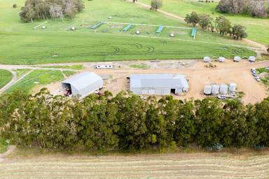 Farm For Sale - WA - Frankland River - 6396 - Blackwattle and Russell Road at Frankland River, Hay Shed Hill, West Cape Howe and associated properties  (Image 2)