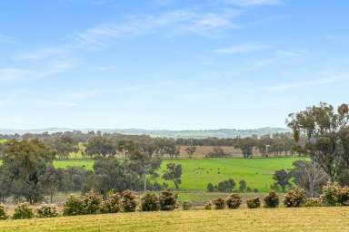 Farm For Sale - NSW - Orange - 2800 - 'Belgravia North'  (Image 2)