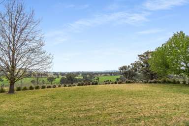 Farm For Sale - NSW - Orange - 2800 - 'Belgravia North'  (Image 2)