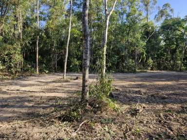 Farm For Sale - QLD - Cardwell - 4849 - Rural Acreage Close to Cardwell  (Image 2)