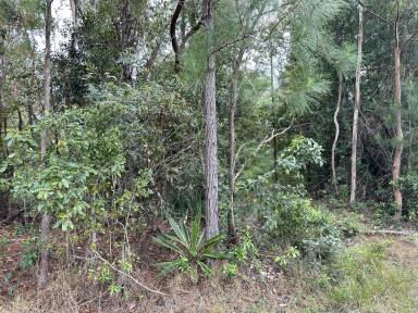 Farm For Sale - QLD - Cardwell - 4849 - Rural Acreage Close to Cardwell  (Image 2)