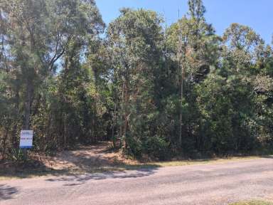 Farm For Sale - QLD - Cardwell - 4849 - Rural Acreage Close to Cardwell  (Image 2)