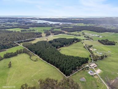 Farm For Sale - TAS - Latrobe - 7307 - Idyllic Rural Property with Immediate Timber Return  (Image 2)