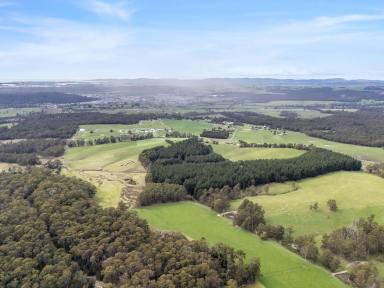 Farm For Sale - TAS - Latrobe - 7307 - Idyllic Rural Property with Immediate Timber Return  (Image 2)