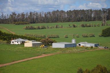 Farm For Sale - VIC - Hallston - 3953 - 'Amberdowns' Hallston/Leongatha - South Gippsland
Outstanding Dairy & Mixed Farming Property
339 Acres/137ha  (Image 2)