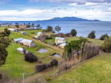 Farm Expressions of Interest - TAS - Orford - 7190 - Iconic Tasmanian rural opportunity  (Image 2)