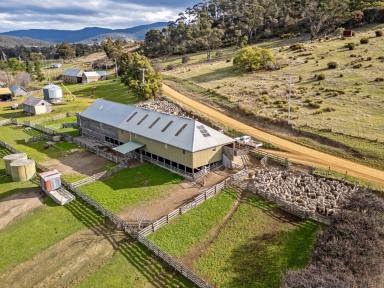 Farm Expressions of Interest - TAS - Orford - 7190 - Iconic Tasmanian rural opportunity  (Image 2)