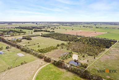 Farm For Sale - VIC - Bairnsdale - 3875 - Edge of Town Hobby Farm with Nature Lover's Haven  (Image 2)