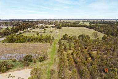 Farm For Sale - VIC - Bairnsdale - 3875 - Edge of Town Hobby Farm with Nature Lover's Haven  (Image 2)